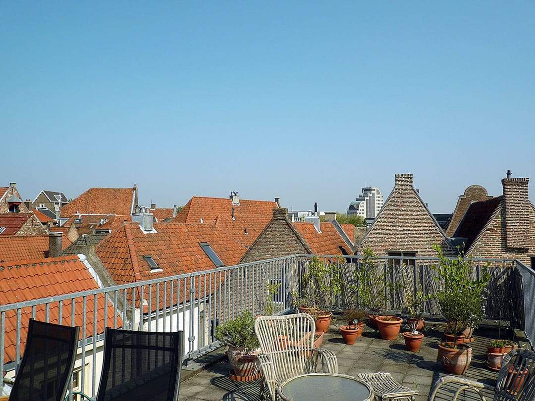 Afbeelding 11 van 12