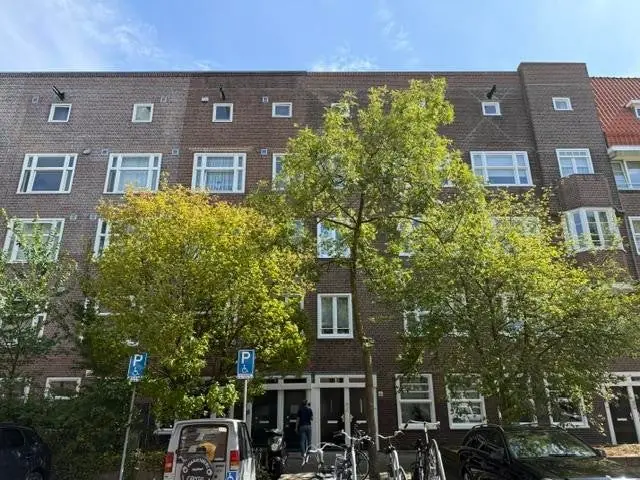 Image 2 of 12