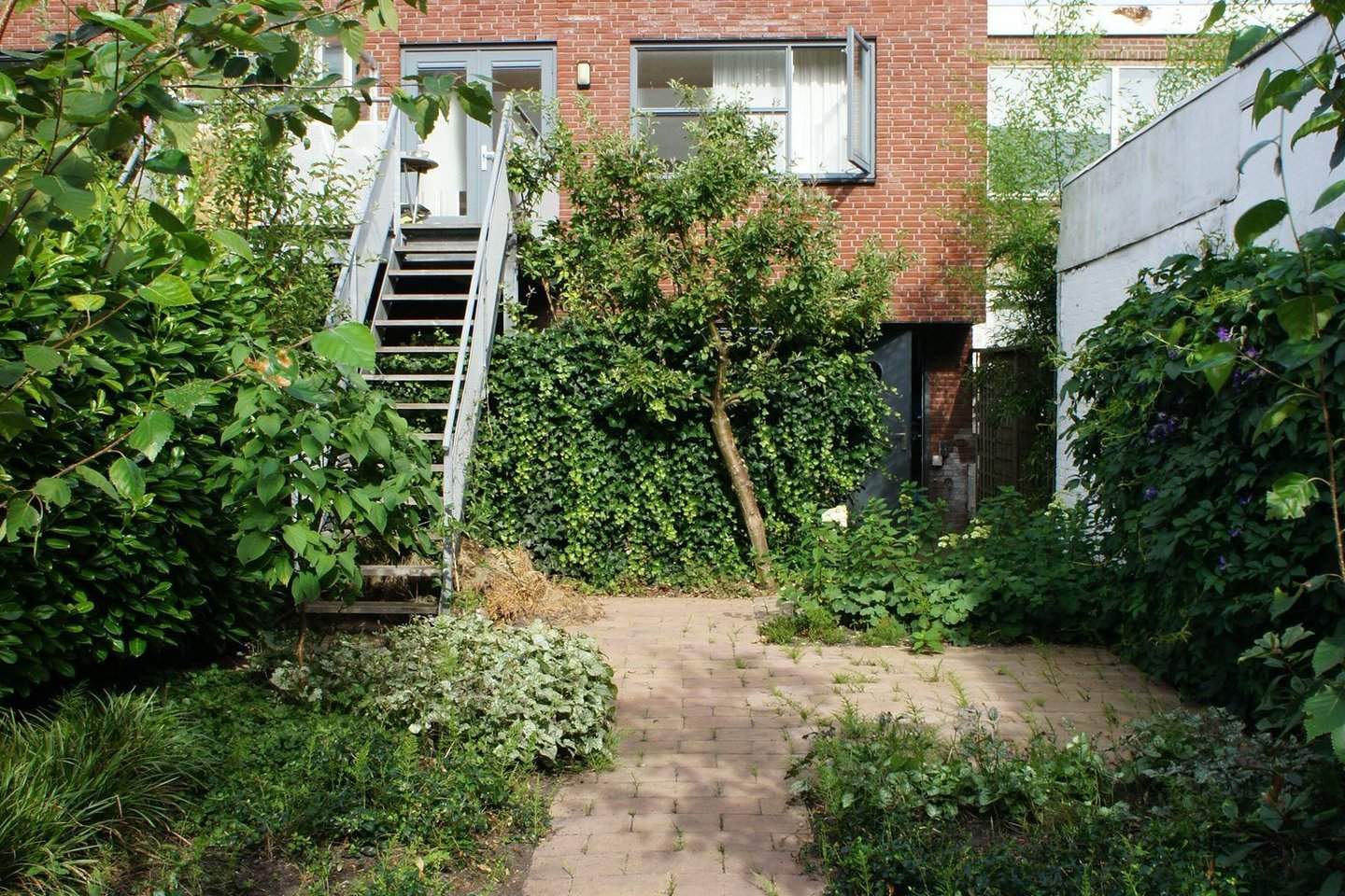 Afbeelding 1 van 12