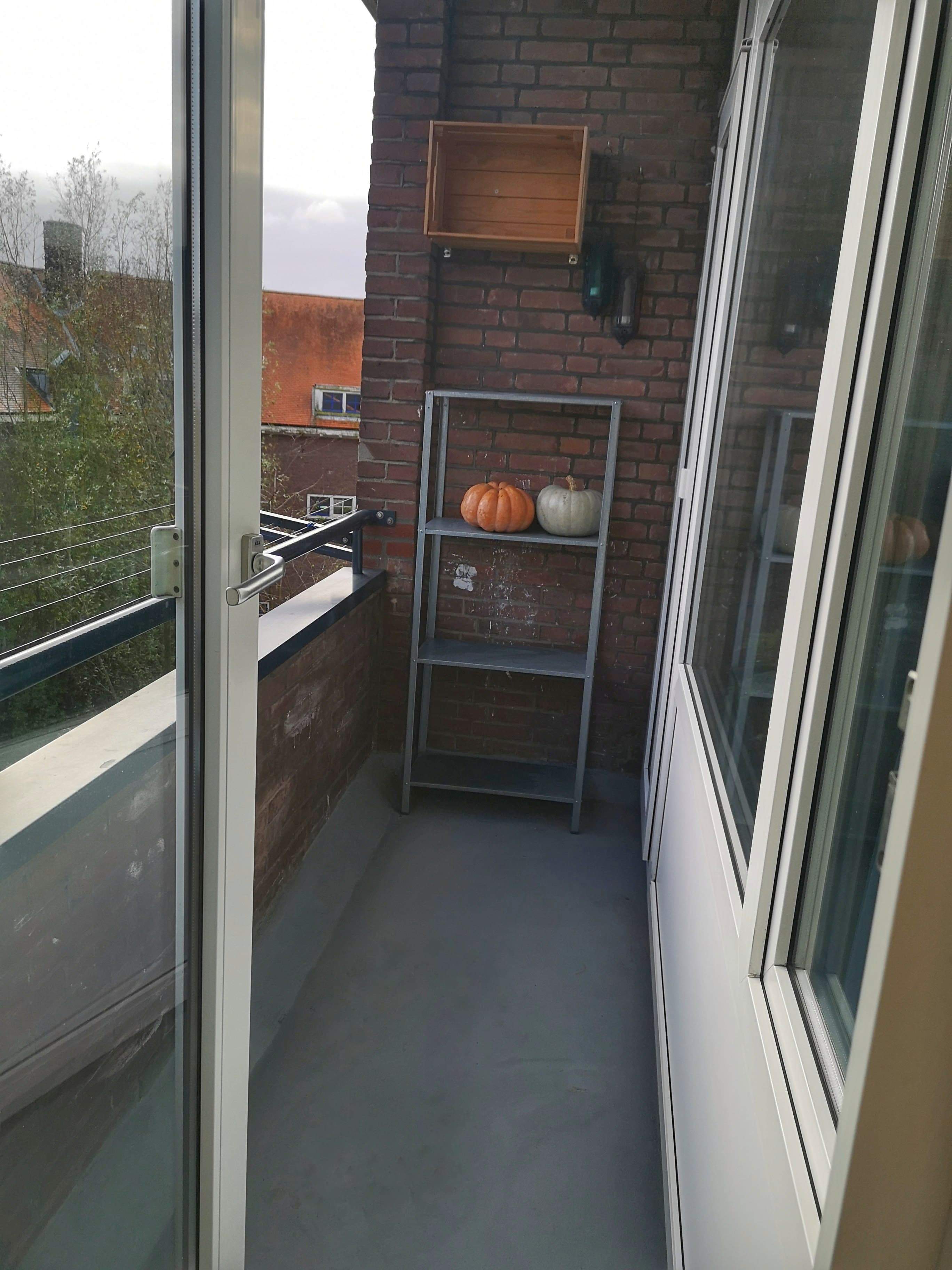 Image 9 of 9