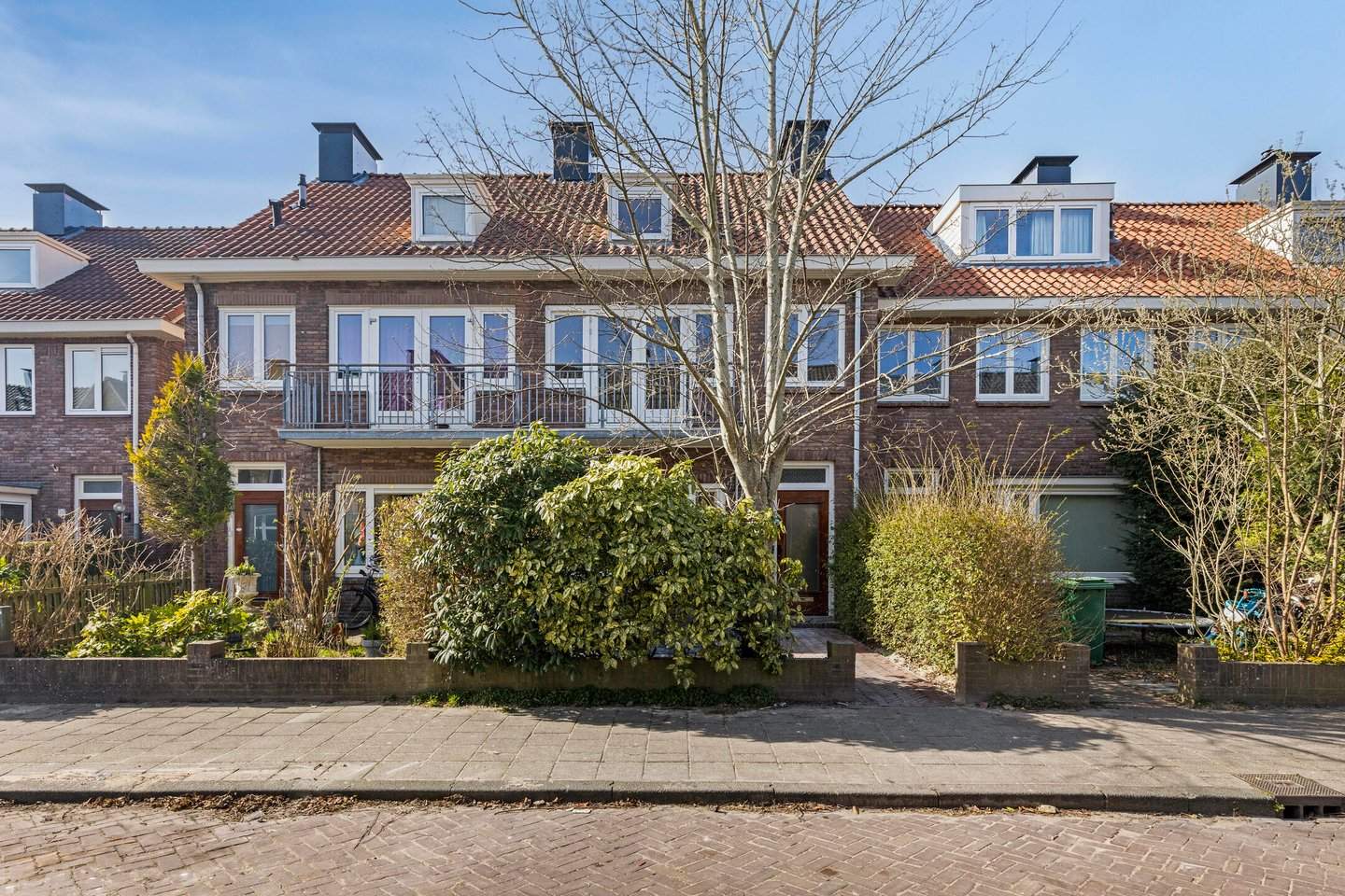 Afbeelding 1 van 12