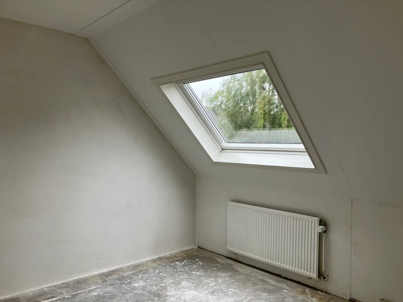 Bild 12 von 20