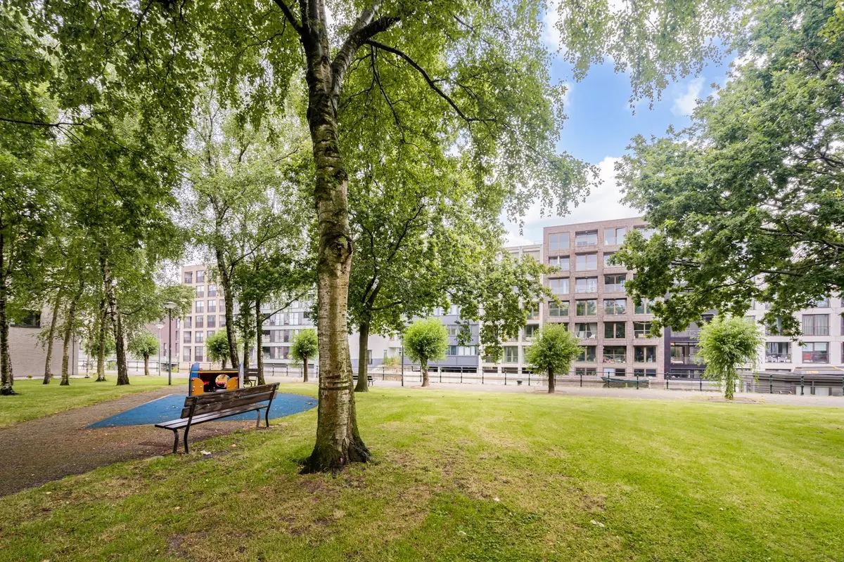 Image 15 of 15