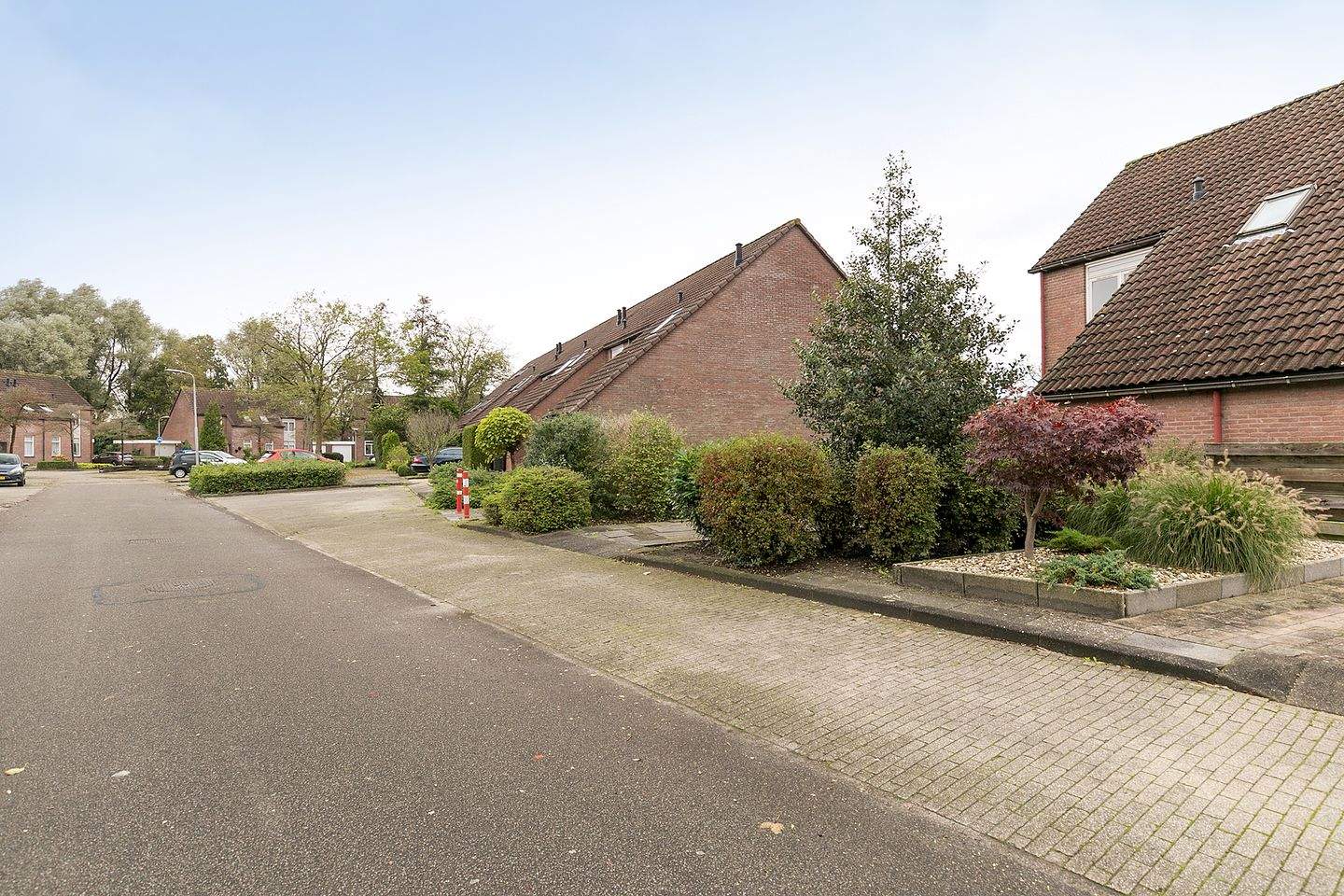 Afbeelding 2 van 6
