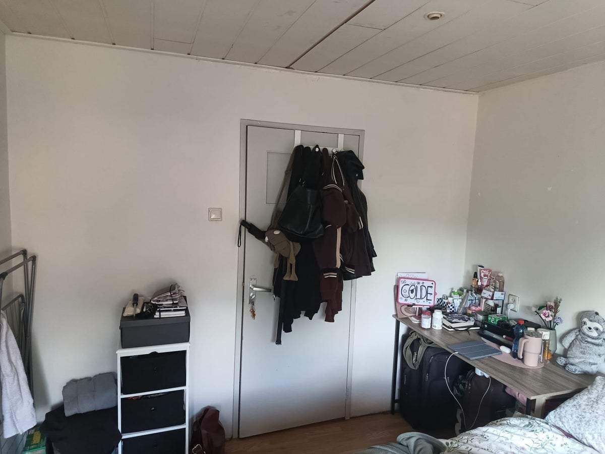 Image 3 of 12