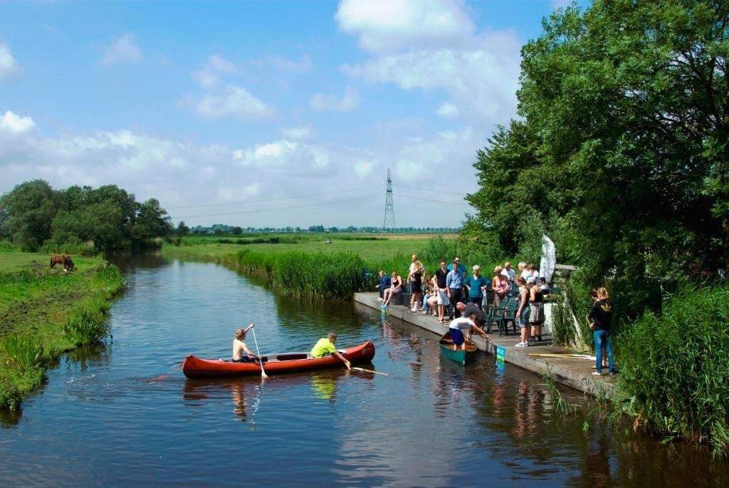 Afbeelding 10 van 12