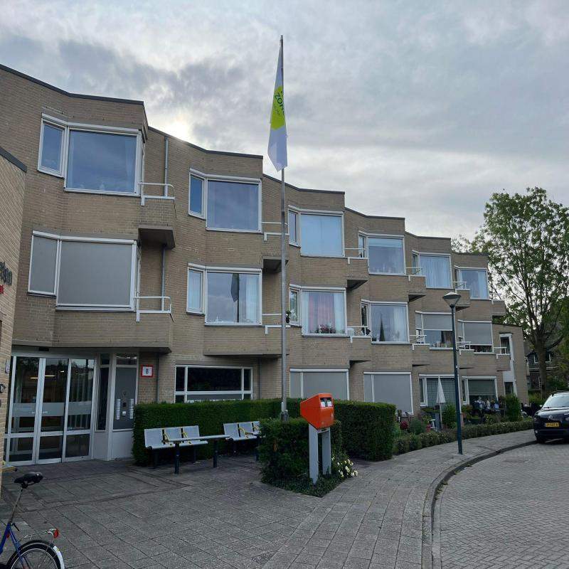Afbeelding 4 van 11