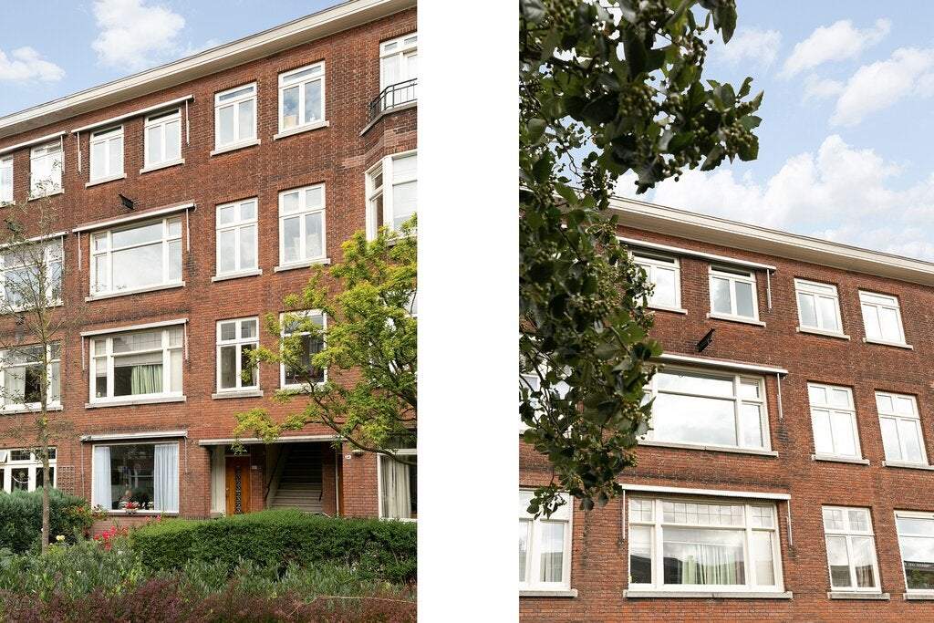 Afbeelding 2 van 22