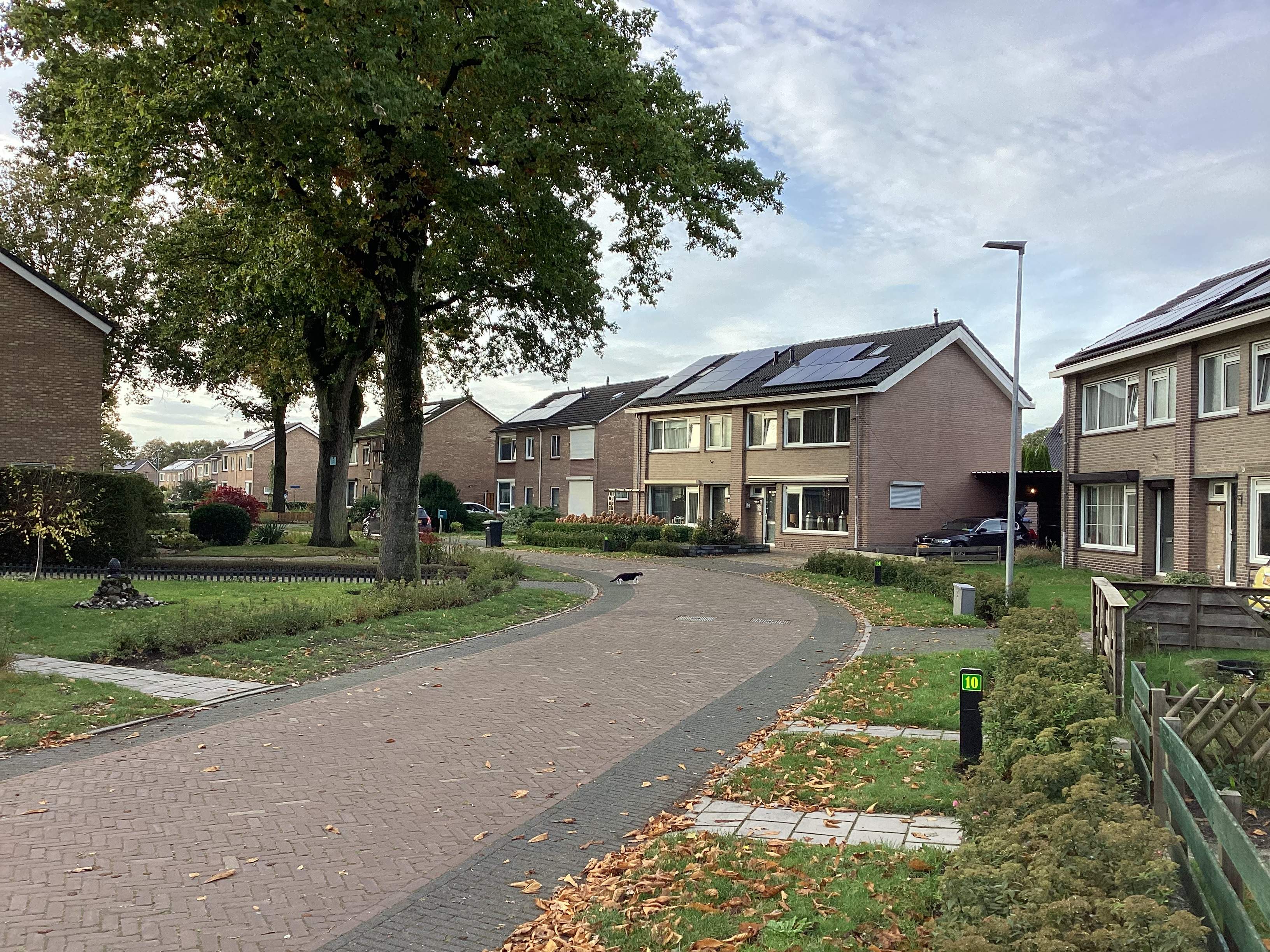 Afbeelding 2 van 3