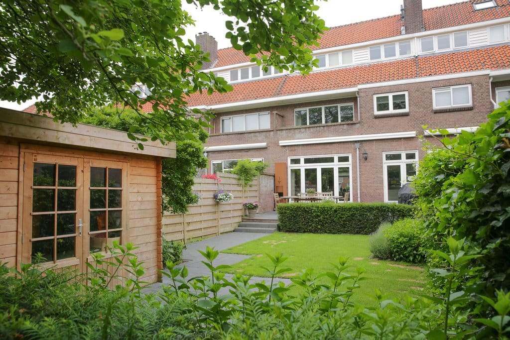 Afbeelding 3 van 12