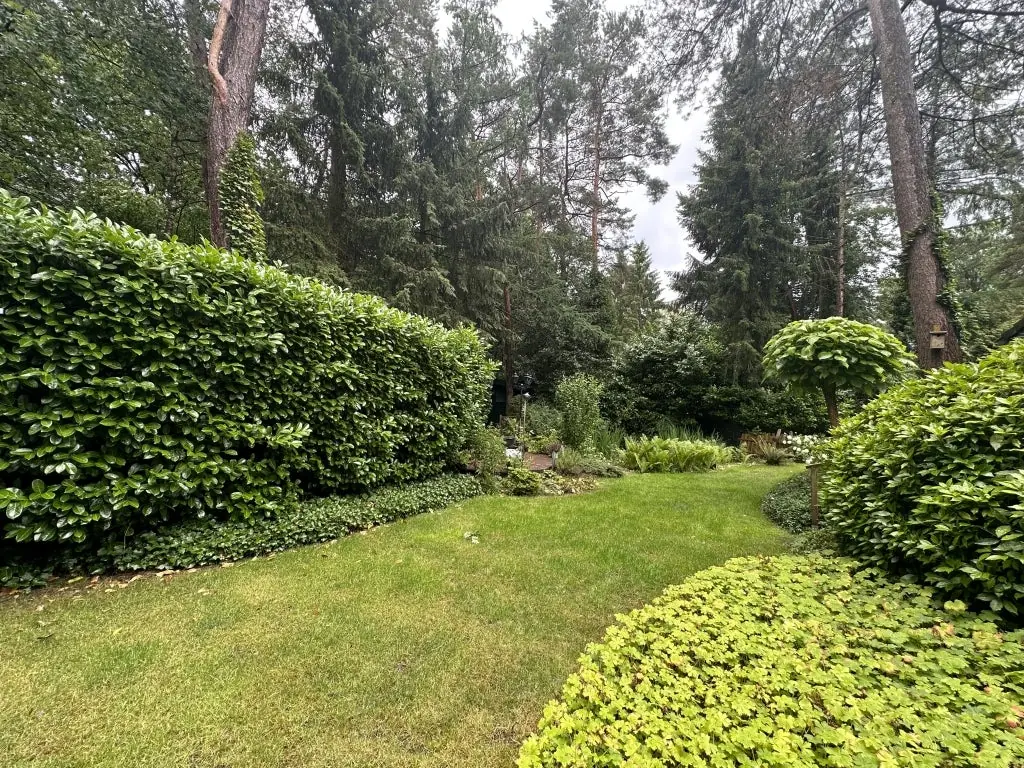 Image 25 of 30