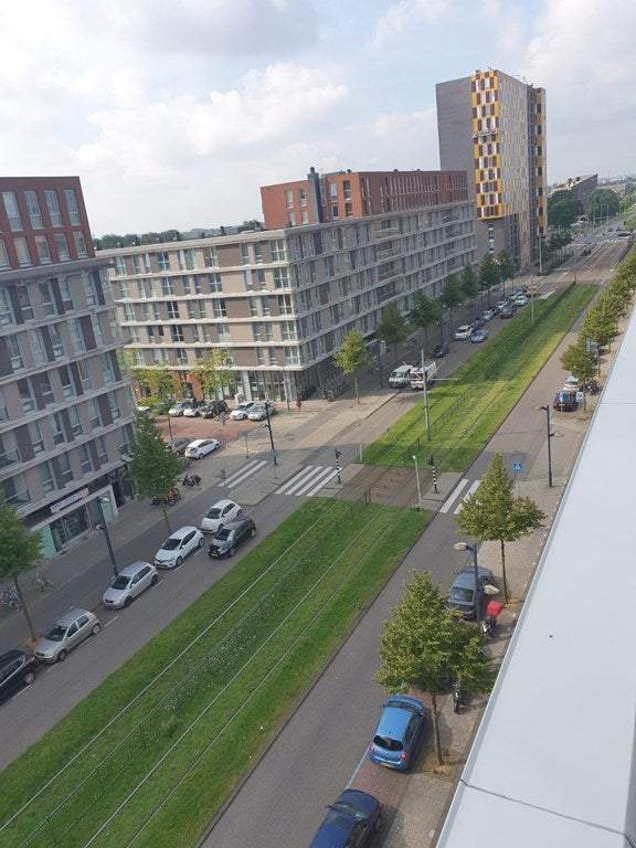Afbeelding 1 van 19