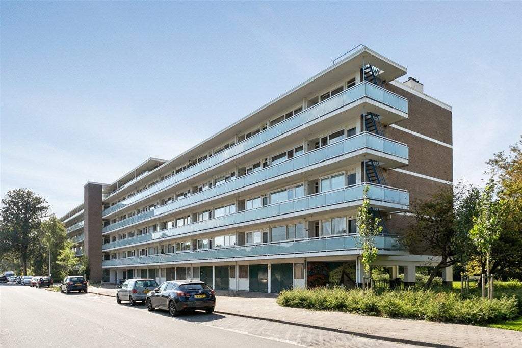 Afbeelding 1 van 1