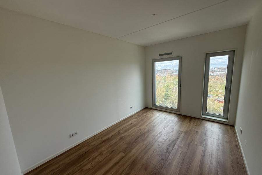 Image 8 of 20