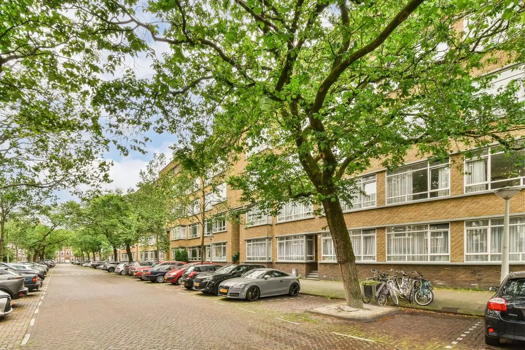 Afbeelding 1 van 25