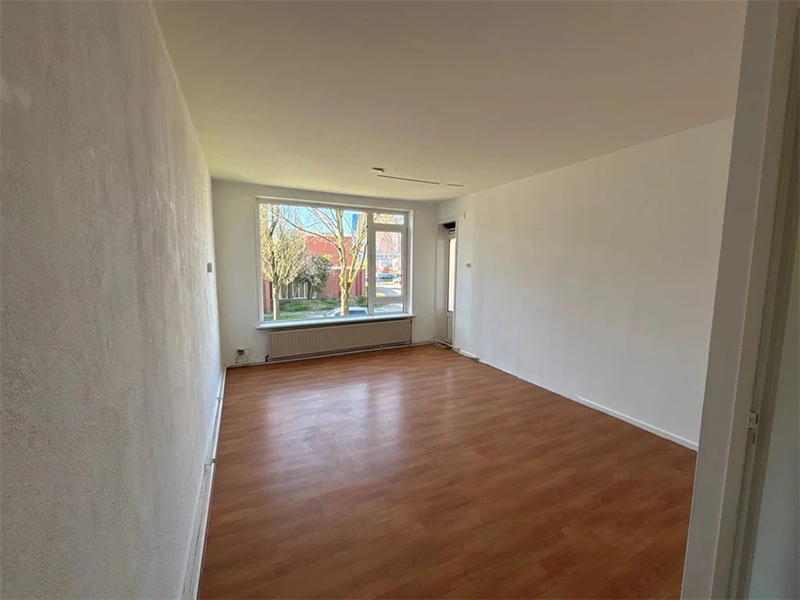 Image 4 of 12