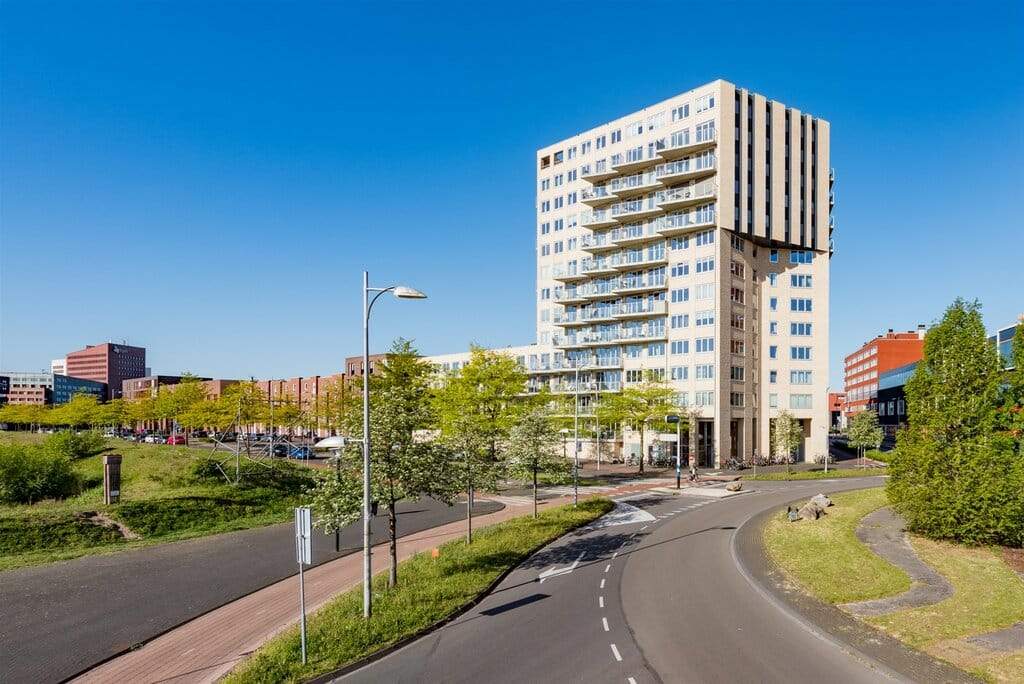 Afbeelding 1 van 12