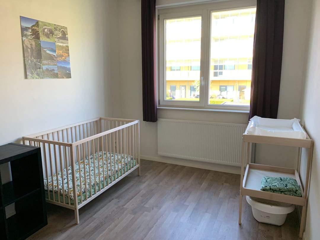 Image 16 of 20