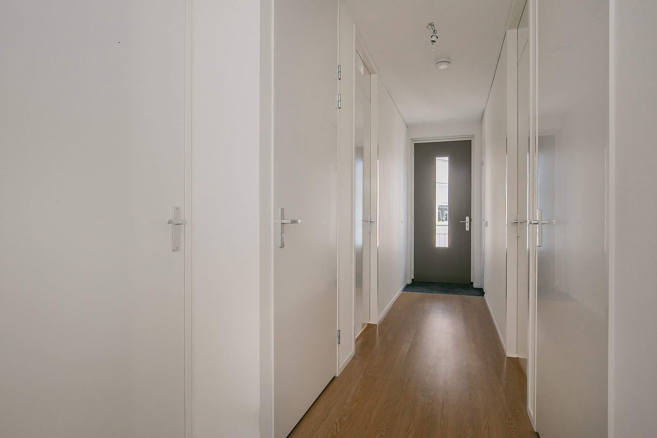 Imagen 2 de 12