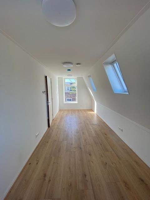 Bild 1 von 12