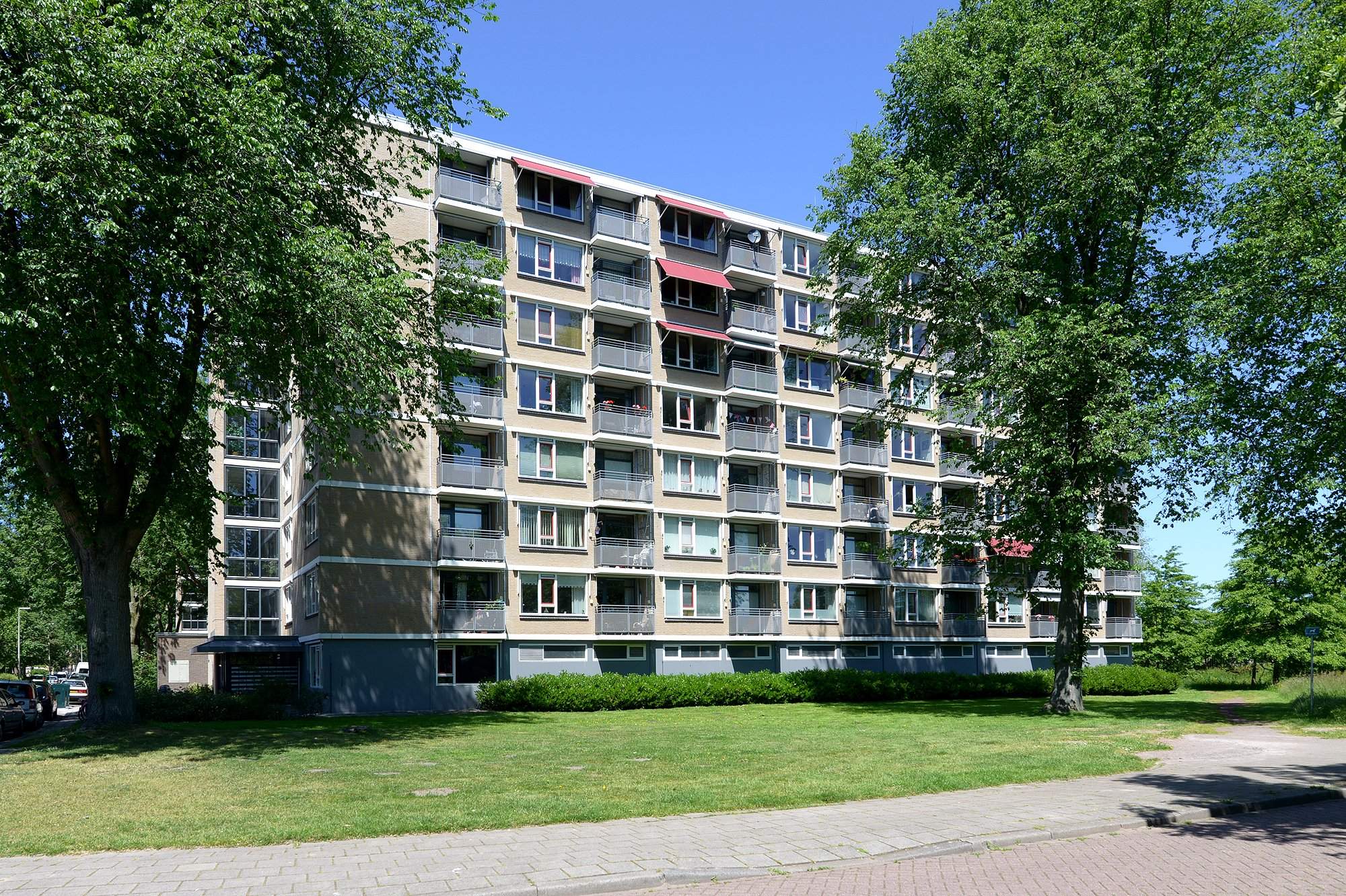 Afbeelding 1 van 5