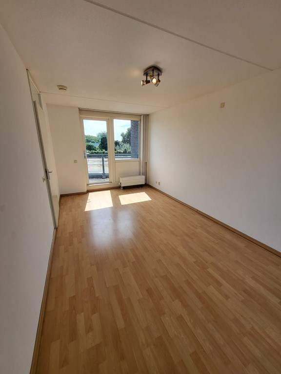 Bild 10 von 24