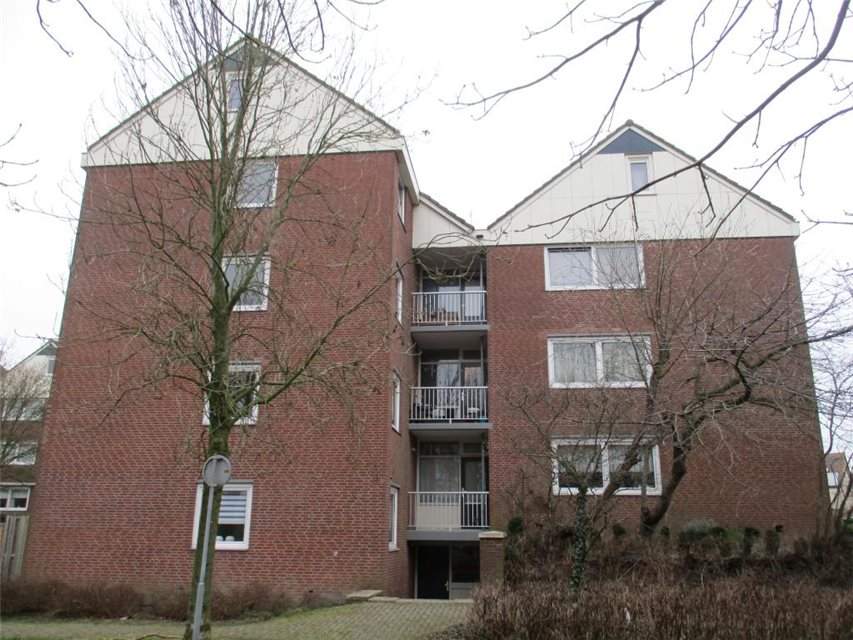 Afbeelding 4 van 6