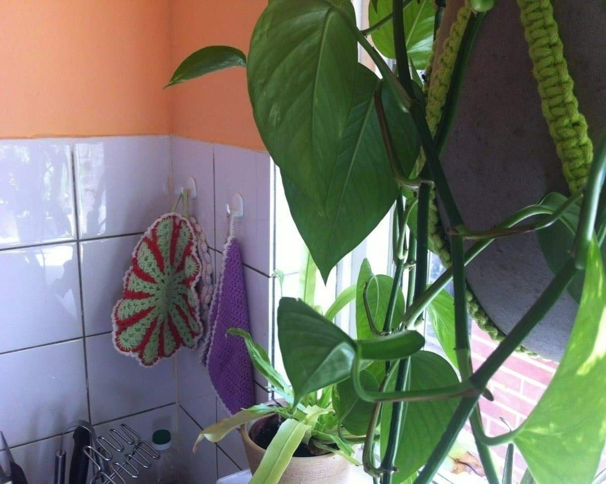 Image 4 of 7