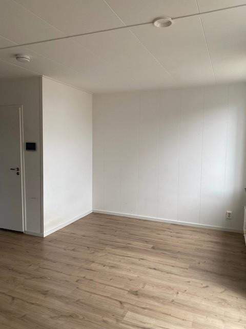 Bild 3 von 8