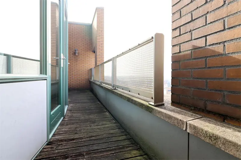 Afbeelding 13 van 15
