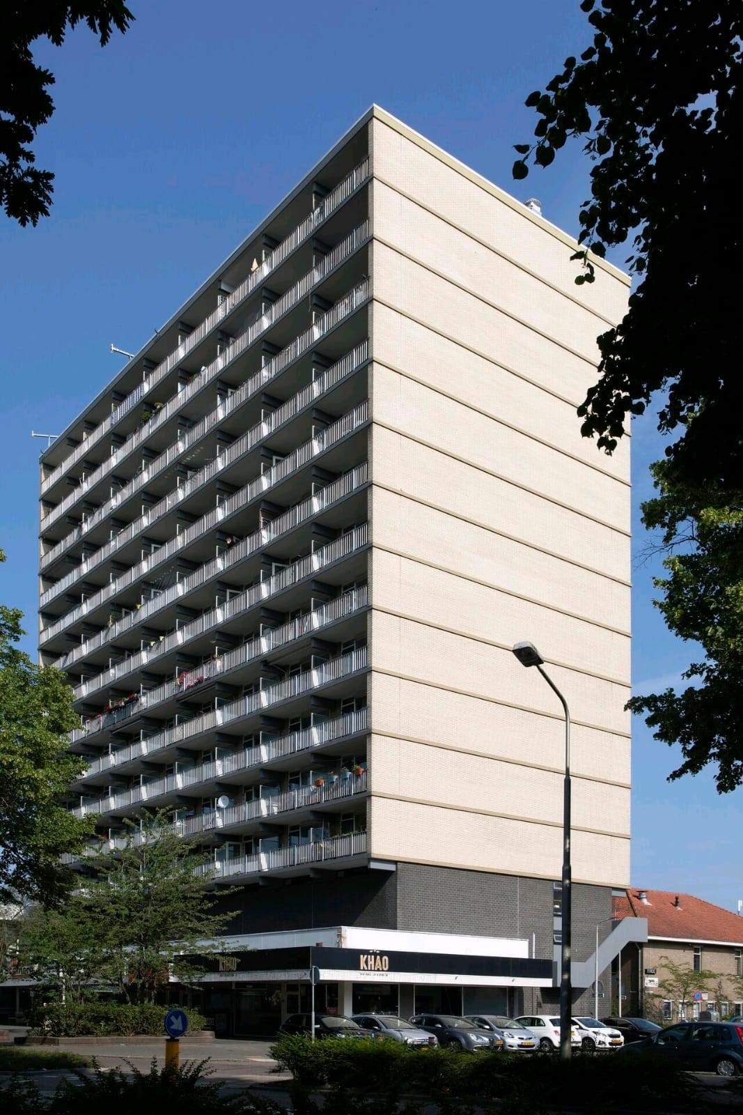 Afbeelding 3 van 31