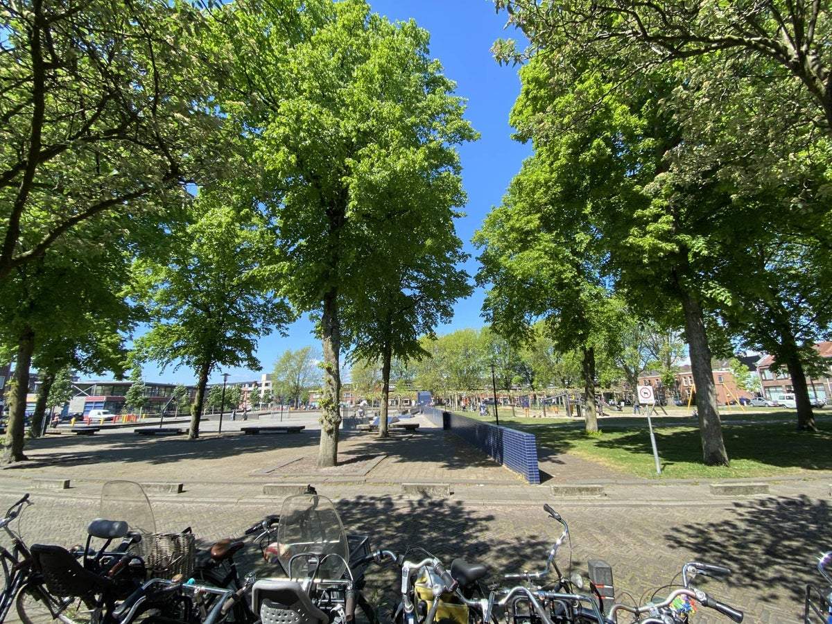 Afbeelding 3 van 11