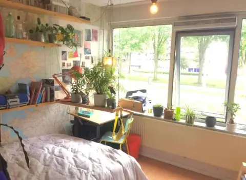 Möbliertes Zimmer Jacoba van Beierenlaan, Delft - Zu vermieten