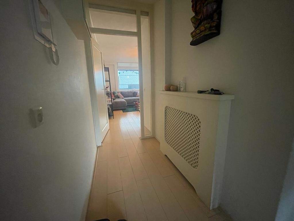 Bild 3 von 20