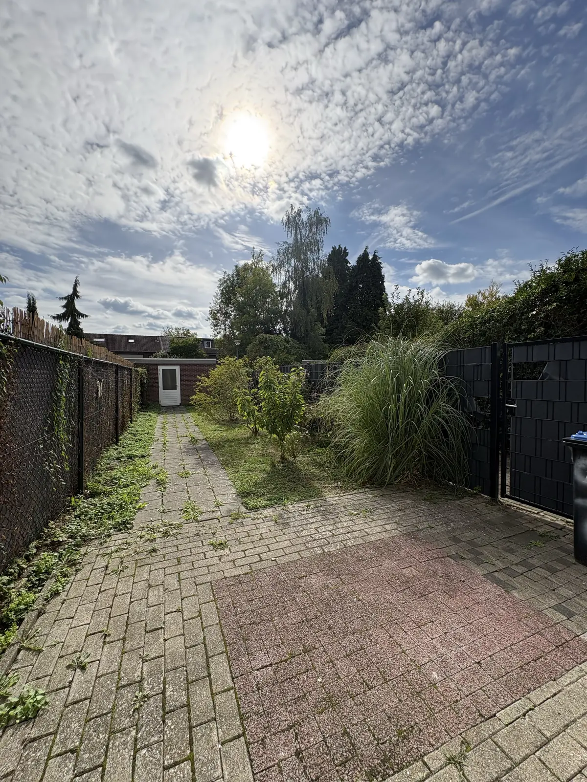 Image 10 of 12