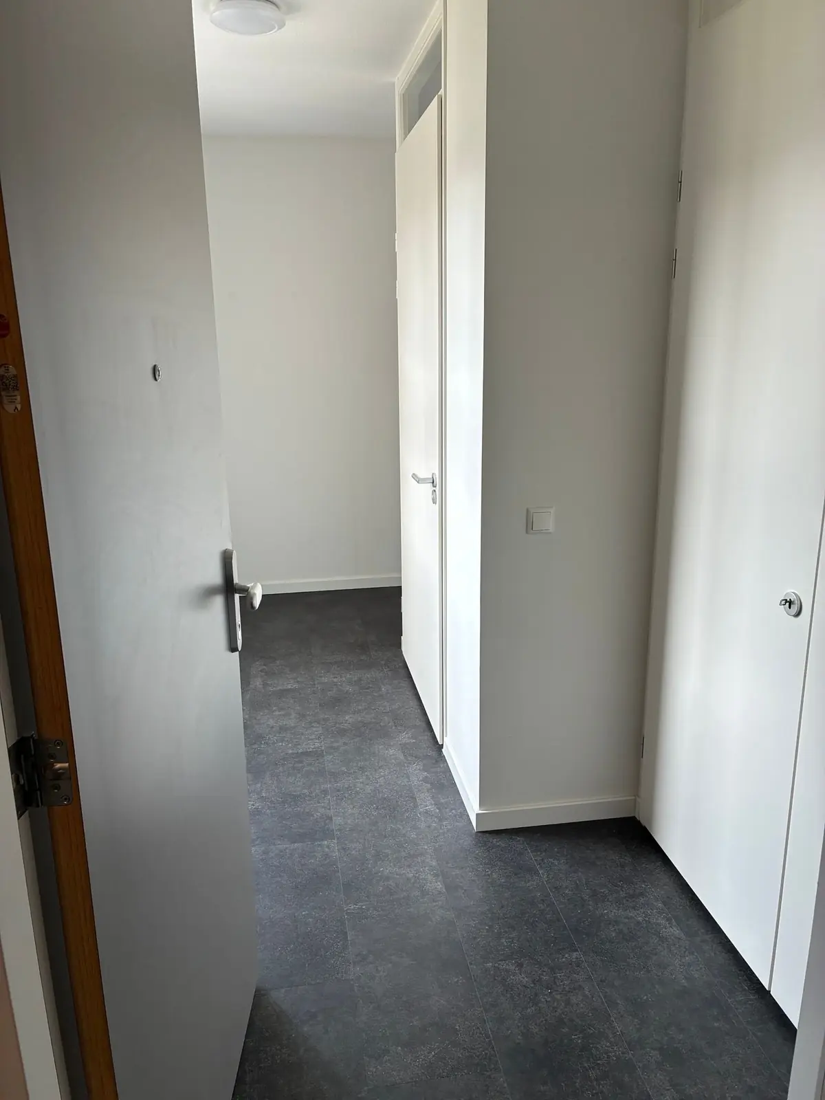Image 3 of 14