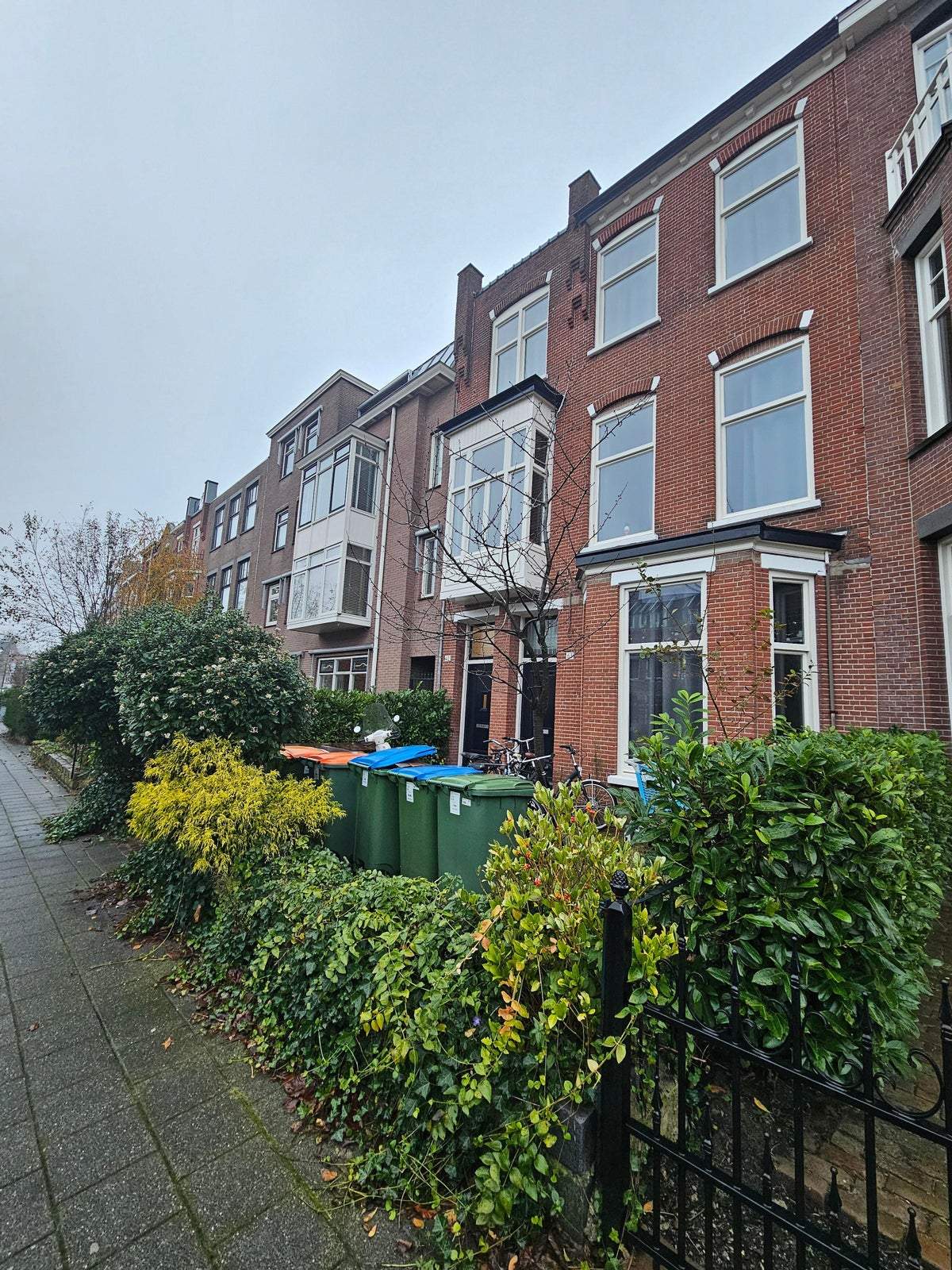 Image 1 of 8