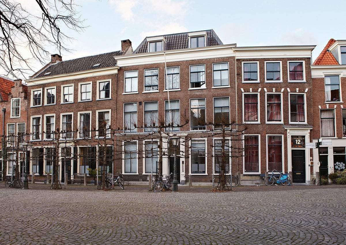Afbeelding 1 van 10