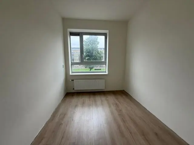 Afbeelding 11 van 14
