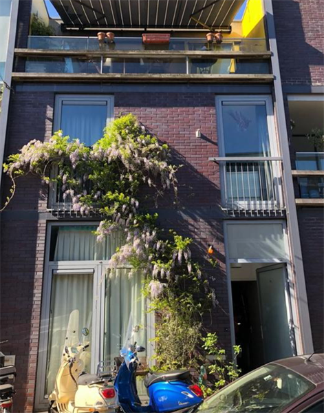 Afbeelding 3 van 17