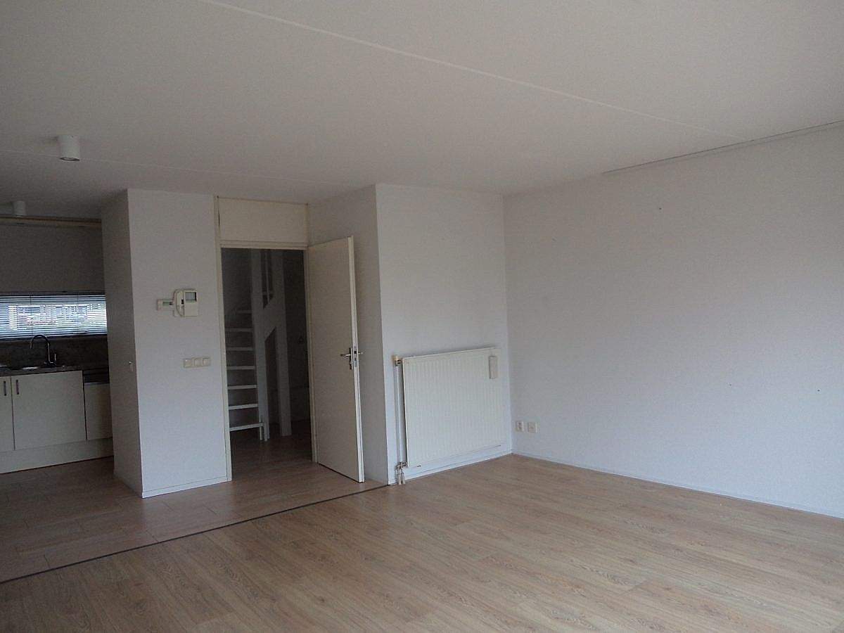Bild 3 von 8