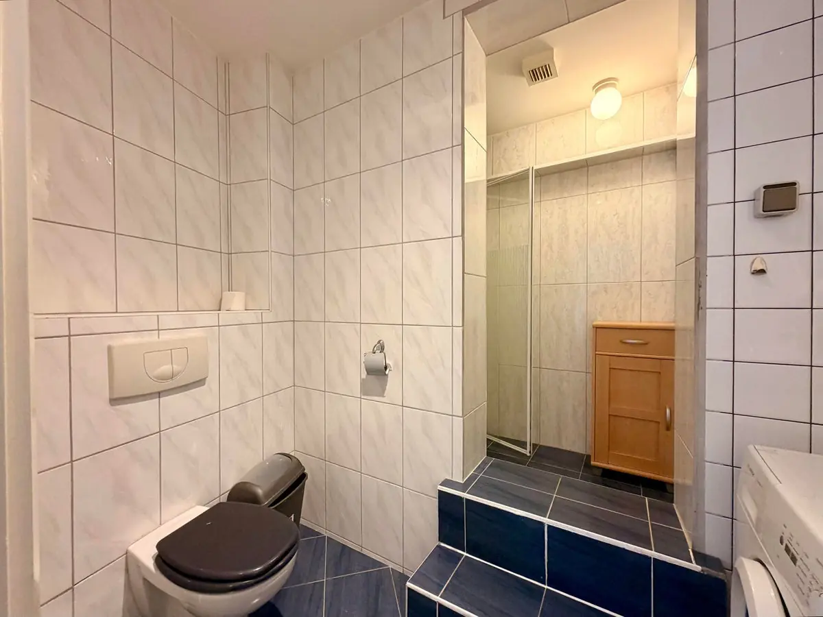 Image 4 of 16