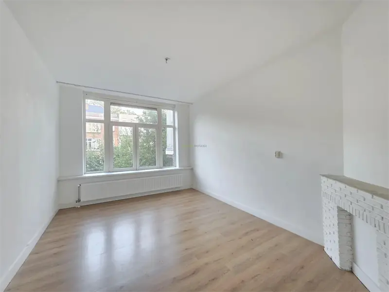Image 8 of 15