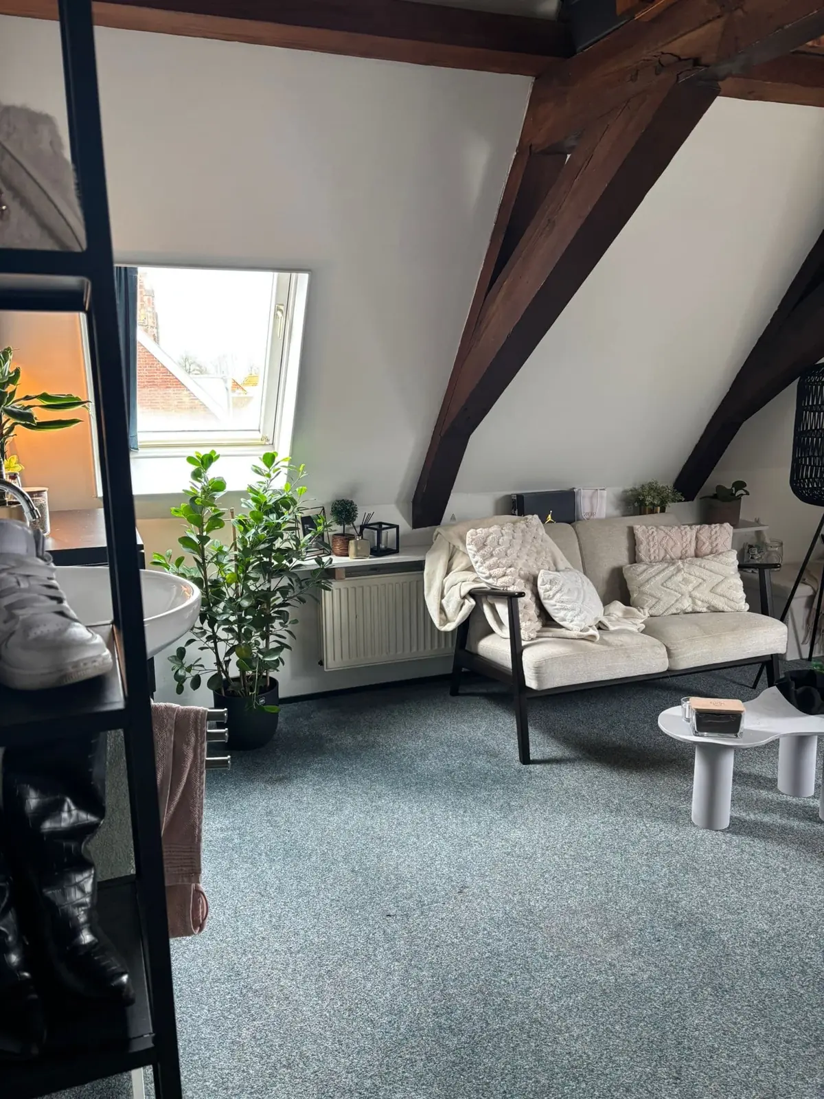 Image 10 of 10