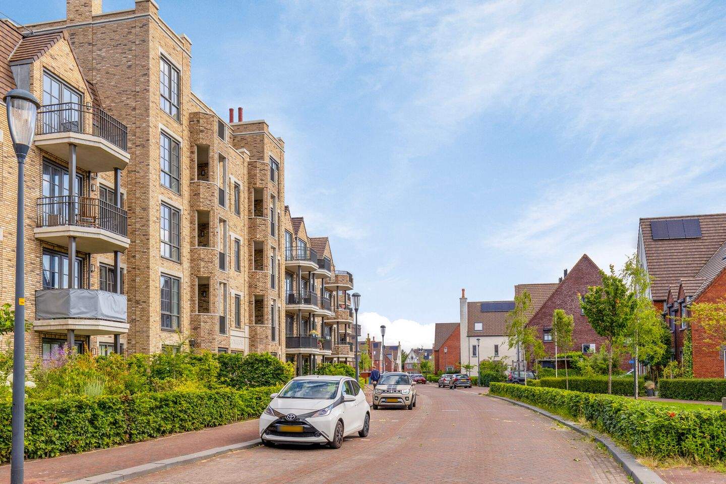 Afbeelding 3 van 12
