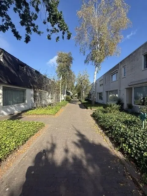 Bild 33 von 33