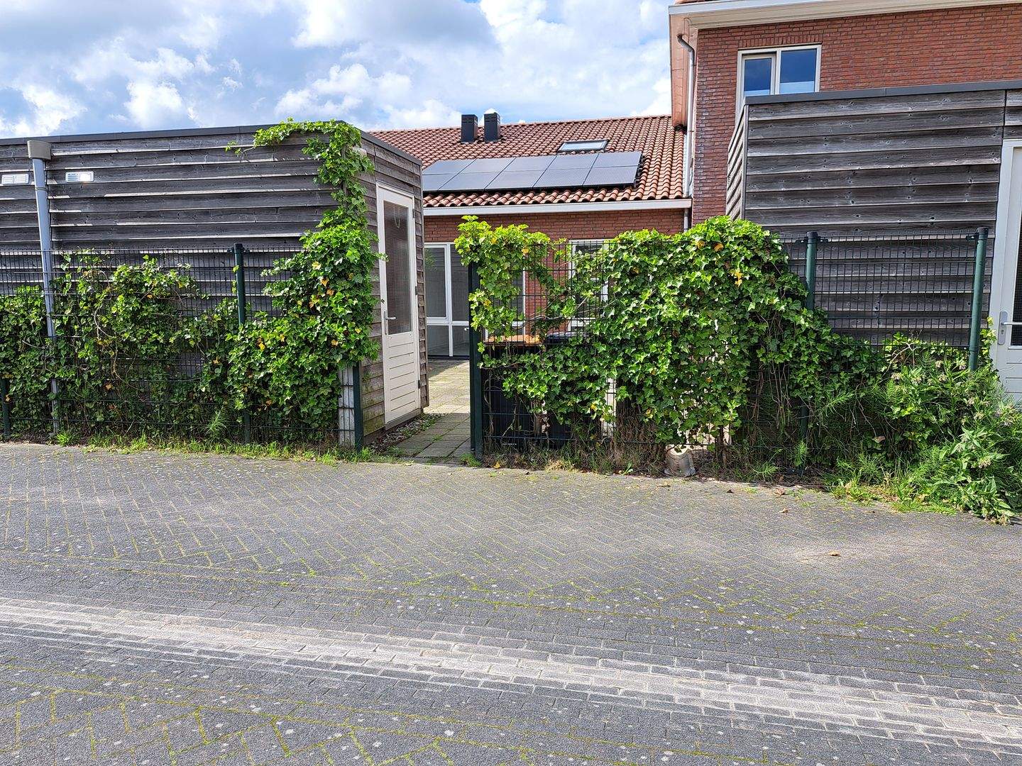 Bild 25 von 25