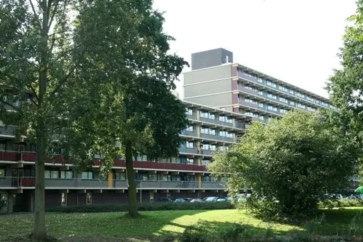 Afbeelding 1 van 3