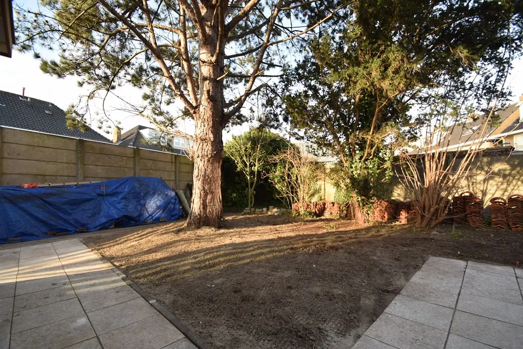 Image 15 of 18