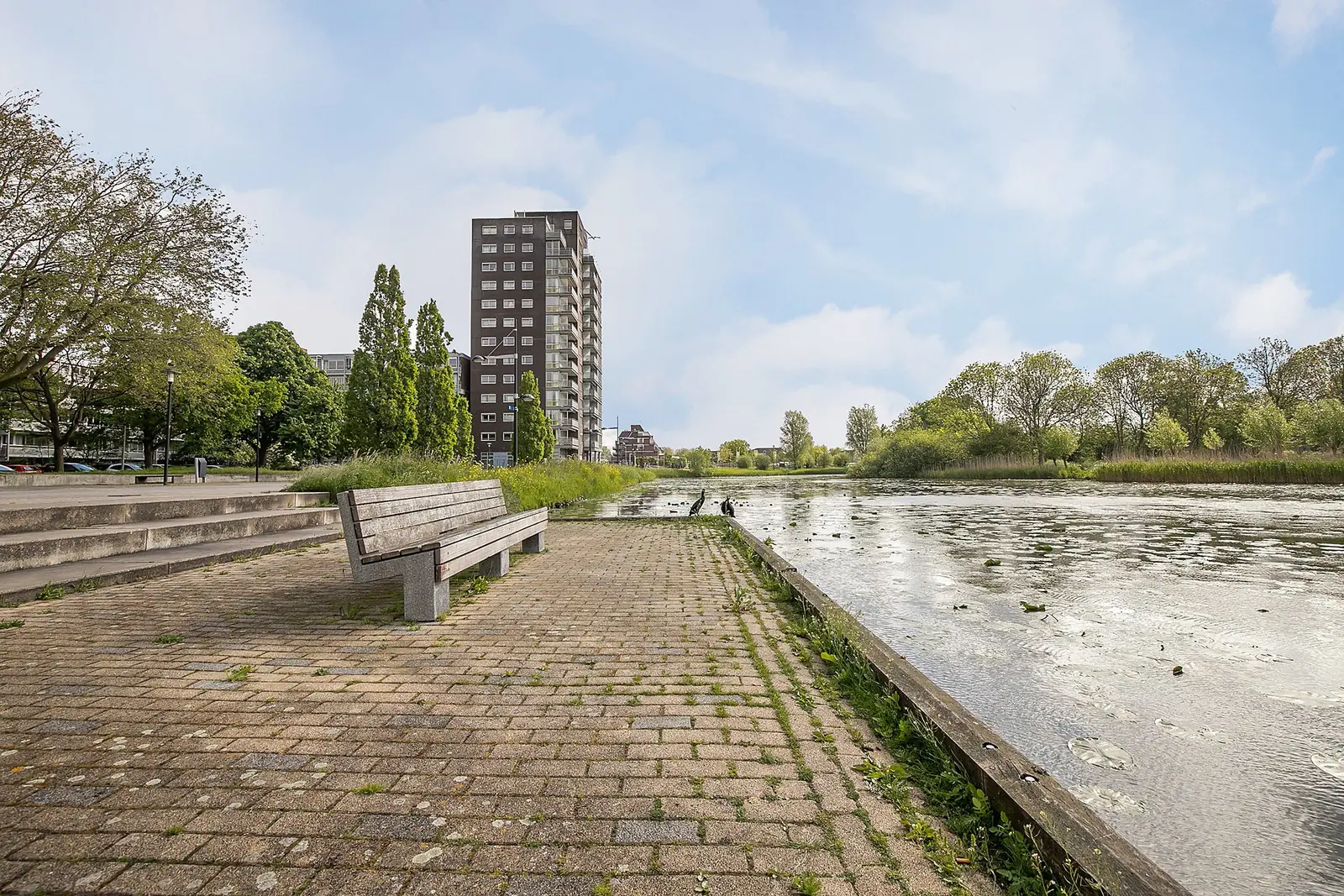 Image 15 of 15